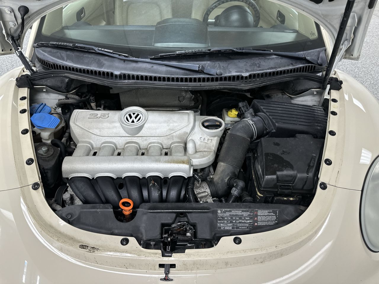 2009 Volkswagen New Beetle Coupe S